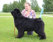 Превью фото № 243265