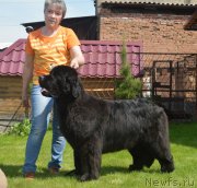 Превью фото № 243281