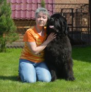 Превью фото № 243285