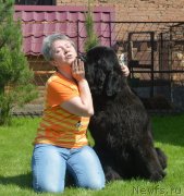 Превью фото № 243286