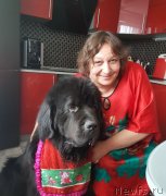 Превью фото № 243330