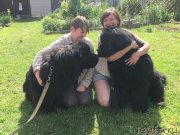 Превью фото № 243333