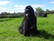 Превью фото № 243386