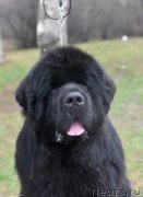 Превью фото № 243480