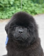 Превью фото № 243512