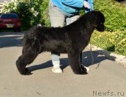 Превью фото № 243546