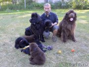 Превью фото № 243636