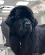 Превью фото № 243663