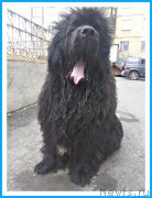 Превью фото № 243665