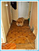 Превью фото № 243677