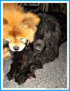 Превью фото № 243691