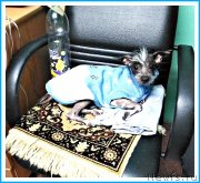 Превью фото № 243694