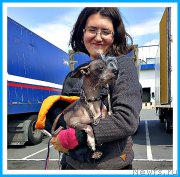 Превью фото № 243695