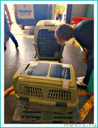 Превью фото № 243699