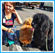 Превью фото № 243700