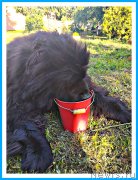 Превью фото № 243712