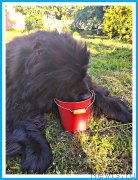 Превью фото № 243713