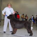 Превью фото № 24376