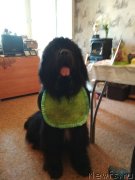 Превью фото № 243773