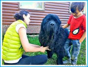 Превью фото № 243795