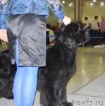 Превью фото № 24380