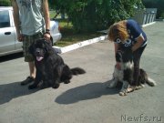 Превью фото № 243806