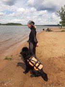 Превью фото № 243829