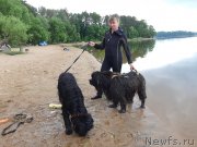 Превью фото № 243830