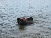 Превью фото № 243839