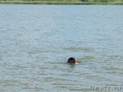 Превью фото № 243841