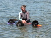 Превью фото № 243842