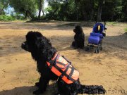 Превью фото № 243851