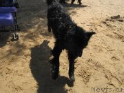 Превью фото № 243853