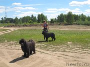 Превью фото № 243856