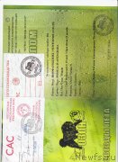 Превью фото № 243858