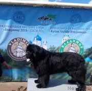 Превью фото № 243859