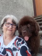 Превью фото № 243860