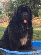 Превью фото № 243895