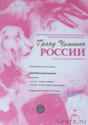 Превью фото № 243914