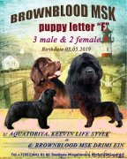 Превью фото № 243915