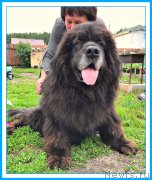 Превью фото № 243932