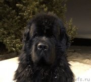 Превью фото № 243945