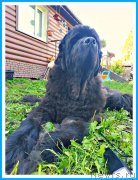 Превью фото № 243994