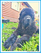 Превью фото № 243996