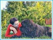 Превью фото № 243998