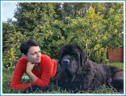 Превью фото № 244000