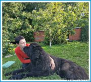 Превью фото № 244002