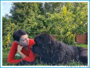 Превью фото № 244004