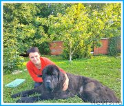 Превью фото № 244005