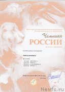 Превью фото № 244012